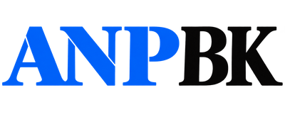 ANP Bath Kitchen logo